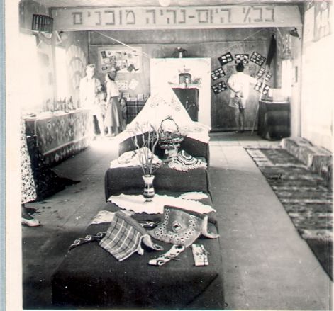 ���� ���� �����